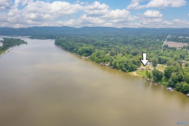 Waterfront living in Southside! This 4BR/3BA ranch home offers - photo 47