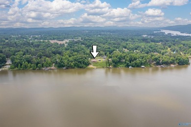 Waterfront living in Southside! This 4BR/3BA ranch home offers - photo 48