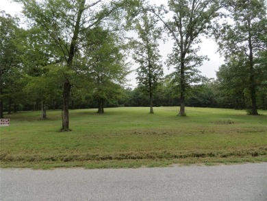 Lake Lot Off Market in Taylor, Arkansas