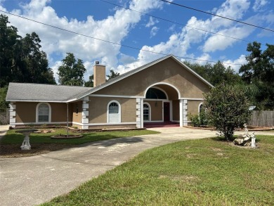 Lake Panasoffkee Home For Sale in Lake Panasoffkee Florida