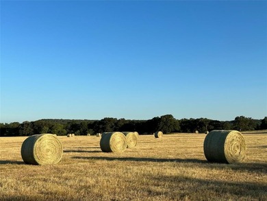 (private lake, pond, creek) Acreage For Sale in Millsap Texas