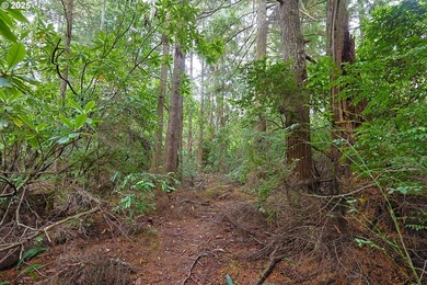 2 ACRES,CITY SERVICES, DIVIDABLE Discover the possibilities with - photo 11