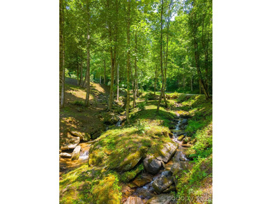 Tucked away in the mountains just minutes from downtown Bryson - photo 3