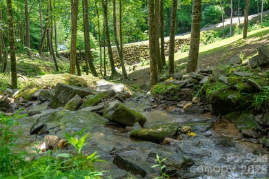 Tucked away in the mountains just minutes from downtown Bryson - photo 4