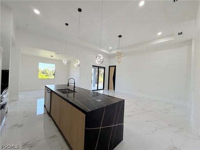 ***Brand-new modern construction home with a sleek minimalist - photo 11