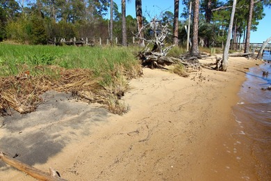 Skip the Red Tape, Start Building Now! Imagine waking up to - photo 15