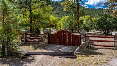 The Hines Ranch Retreat is a magical property in western New - photo 6