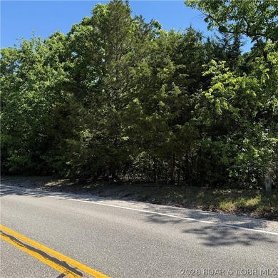 Get your piece of the pie! Level building lot near Good Oak Lake - photo 2