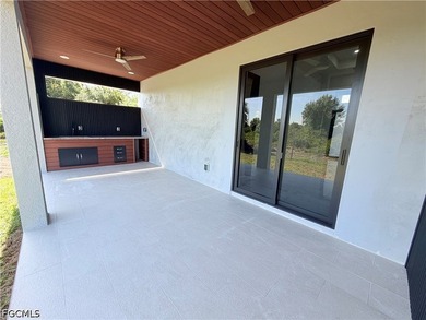 ***Brand-new modern construction home with a sleek minimalist - photo 41