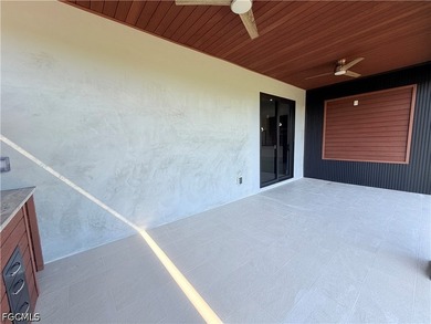 ***Brand-new modern construction home with a sleek minimalist - photo 42