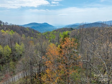 (private lake, pond, coastal) Acreage For Sale in Old Fort North Carolina