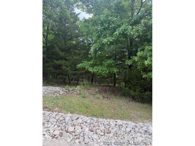 Great building lot in desirable Regency Cove, perfectly - photo 3