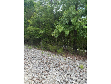 Great building lot in desirable Regency Cove, perfectly - photo 4