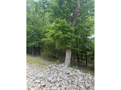 Great building lot in desirable Regency Cove, perfectly - photo 5