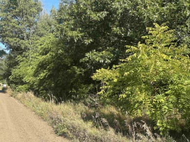 Crooked Lake - Clare County Lot For Sale in Lake Michigan