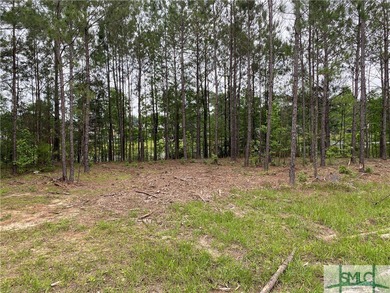 Quiet lot tucked away in the Woodlands at Southbridge. This - photo 4