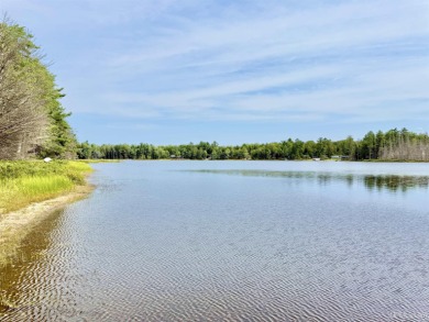 Lake Acreage Sale Pending in Wetmore, Michigan
