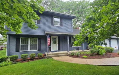 Lake Home For Sale in Third Lake, Illinois