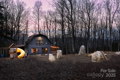 (private lake, pond, coastal) Home Sale Pending in Zirconia North Carolina