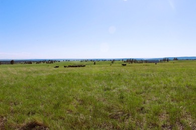 Set in the heart of Northeast Wyoming's most scenic and peaceful - photo 16