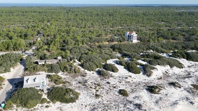 Nestled within the pristine 4,000-acre Bon Secour National - photo 11