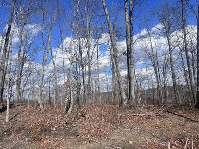 Nick-a-Jack Lake Acreage For Sale in New Hope Tennessee