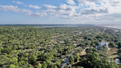 Nestled within the pristine 4,000-acre Bon Secour National - photo 12