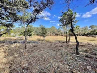Nestled within the pristine 4,000-acre Bon Secour National - photo 13