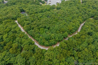 Build your dream home in the prestigious Porto Cima community at - photo 3