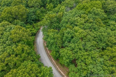 Build your dream home in the prestigious Porto Cima community at - photo 9