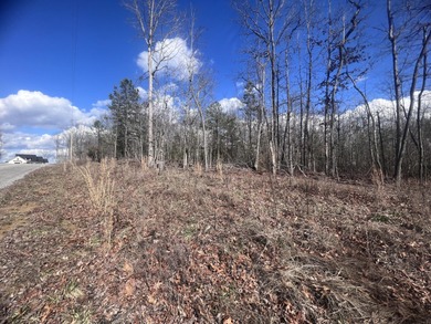 Nick-a-Jack Lake Lot For Sale in New Hope Tennessee