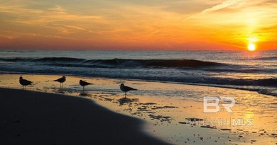 Nestled within the pristine 4,000-acre Bon Secour National - photo 22