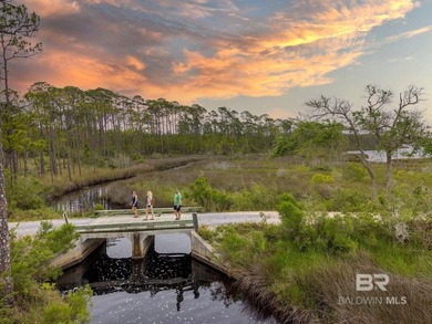 Nestled within the pristine 4,000-acre Bon Secour National - photo 23
