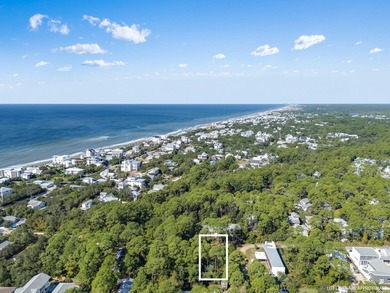 Discover a fantastic opportunity to own land in Gulf Shore Manor - photo 4
