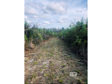 (private lake, pond, coastal) Acreage For Sale in Stockton Alabama