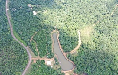 Lake Home For Sale in Lone Star, Texas