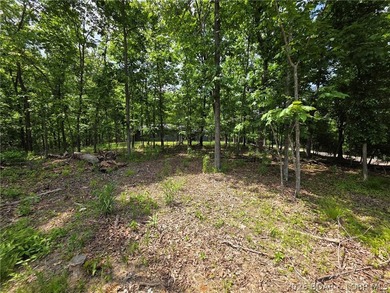 Flat lot in Porto Cima! Build your dream home at the Lake - photo 3