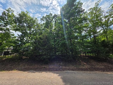 Flat lot in Porto Cima! Build your dream home at the Lake - photo 6