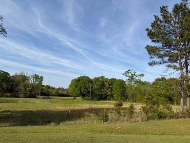 299 S Rutherford Dr - photo 2