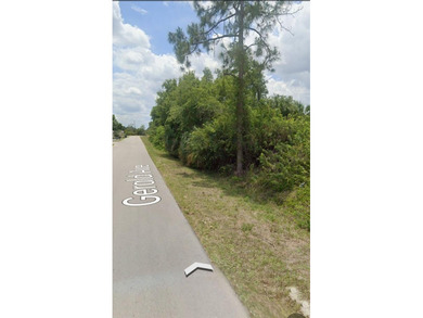 Lehigh Acres Area Lot For Sale in Lehigh Acres Florida