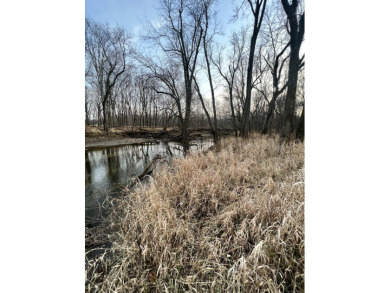 Sangamon River Acreage For Sale in Monticello Illinois