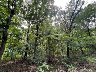 Escape the noise and embrace true off-grid living on this - photo 3