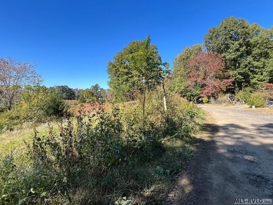 Gorgeous Island Creek Reservoir unrestricted waterfront land - photo 12