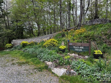 Discover the perfect mountain escape with this level, one-acre - photo 14