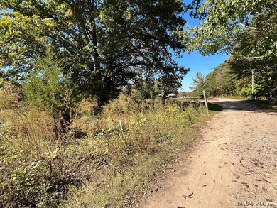 Gorgeous Island Creek Reservoir unrestricted waterfront land - photo 14