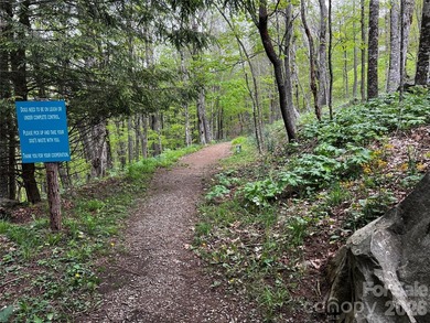 Discover the perfect mountain escape with this level, one-acre - photo 15