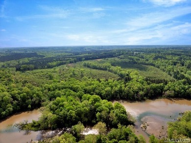 Gorgeous Island Creek Reservoir unrestricted waterfront land - photo 15
