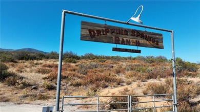 Discover this extraordinary opportunity to own a large portion - photo 16