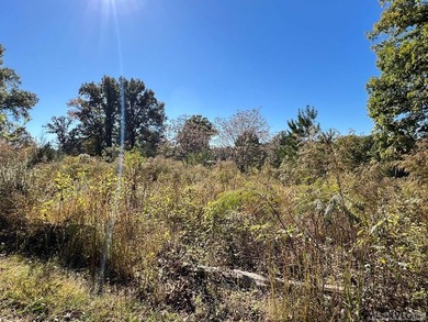 Gorgeous Island Creek Reservoir unrestricted waterfront land - photo 16