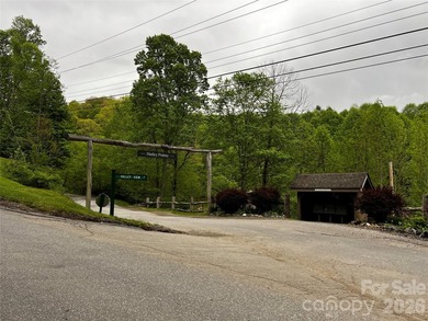 Discover the perfect mountain escape with this level, one-acre - photo 17